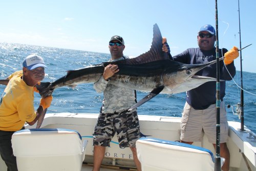 tuna and marlin fishing